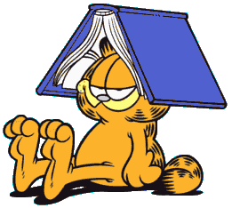 a back to school kitty